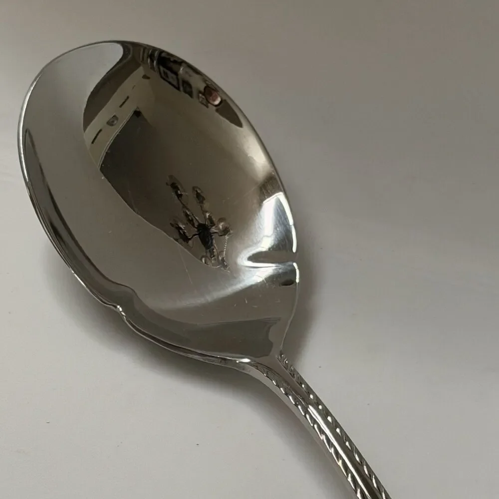 Oneida Belmont-Lyons Casserole Spoon 8 3/4” Stainless Glossy Rope Edge China